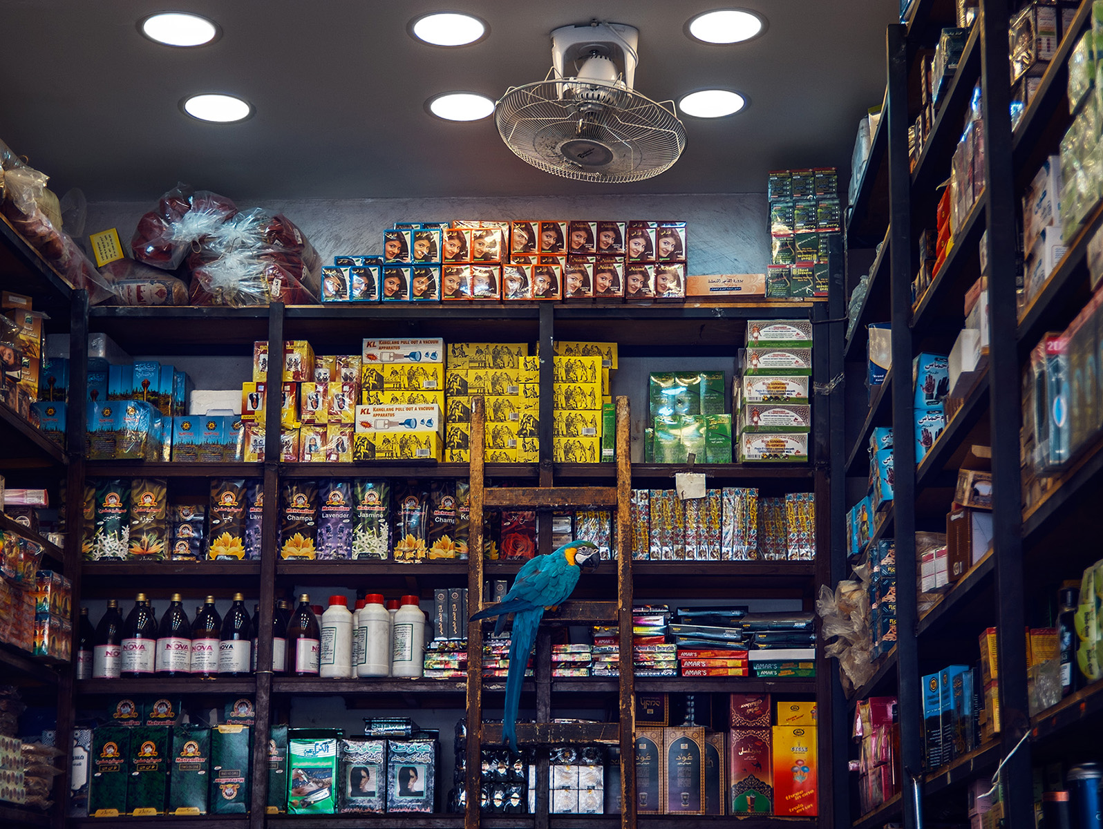coco-vendeur-du-souk