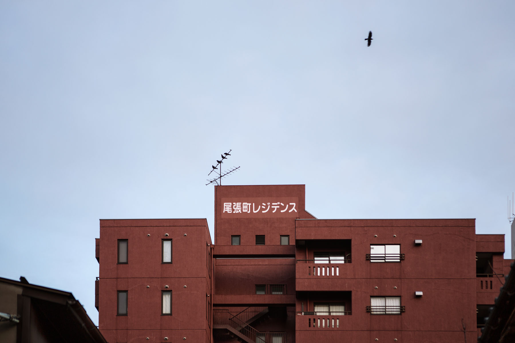 errances japonaises