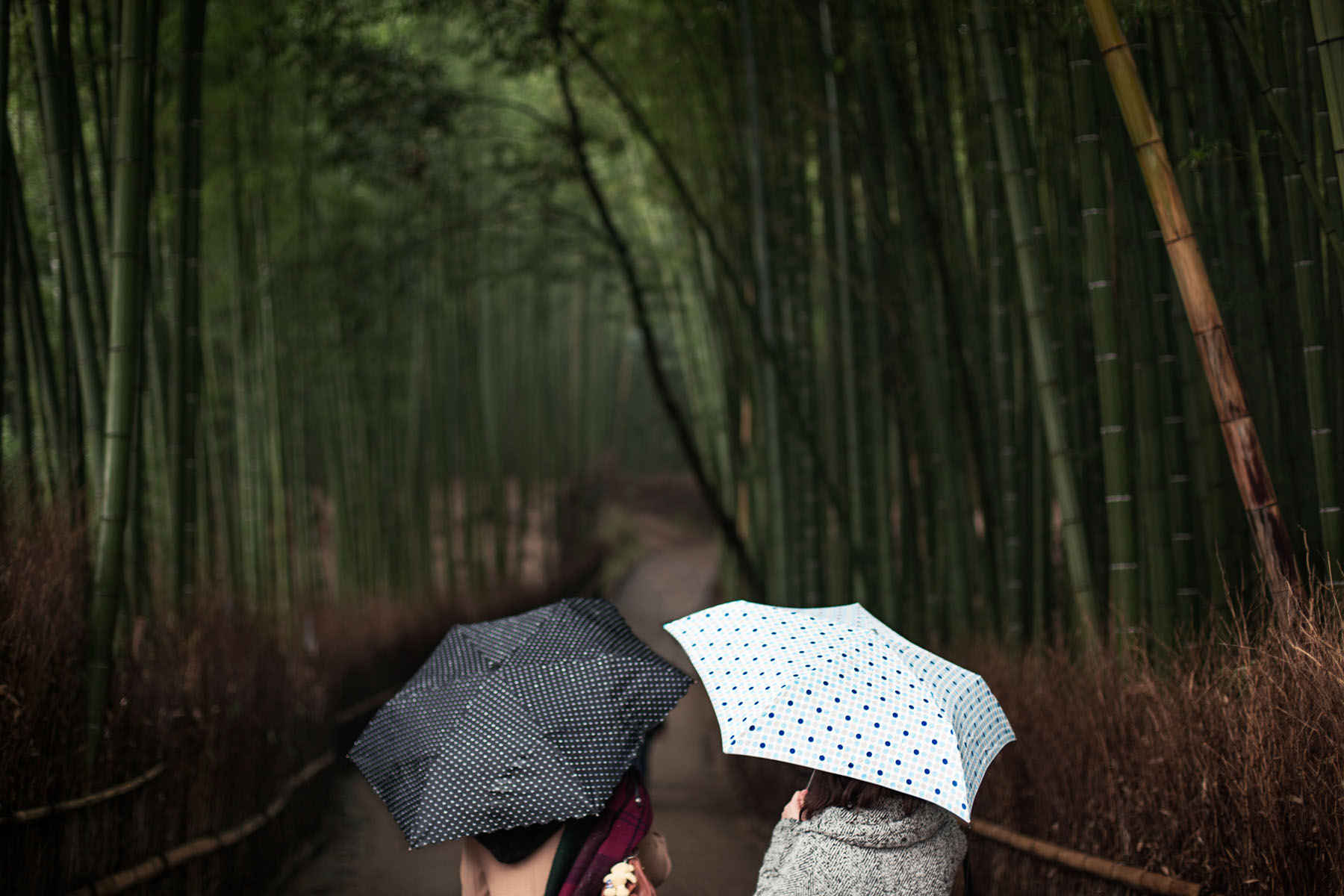 parapluie japonais