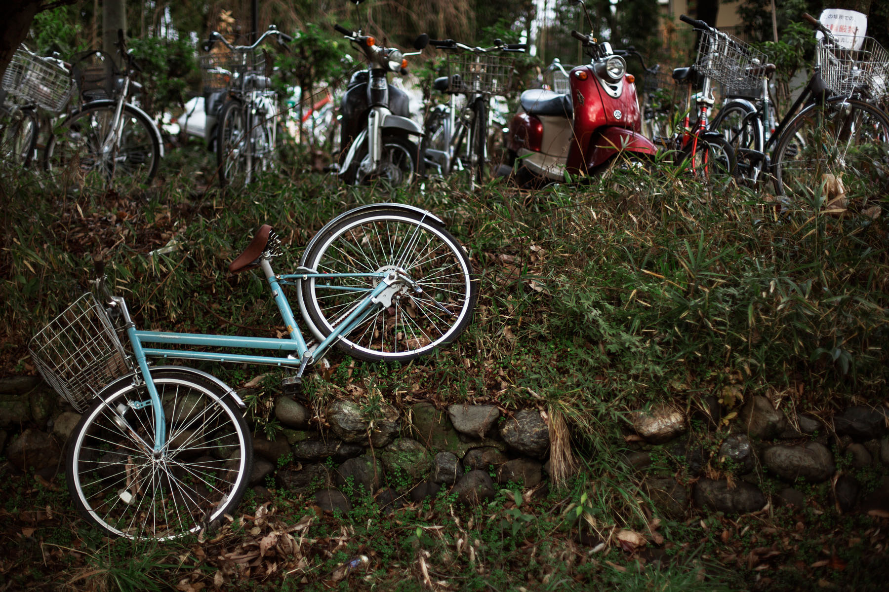 japon vélo