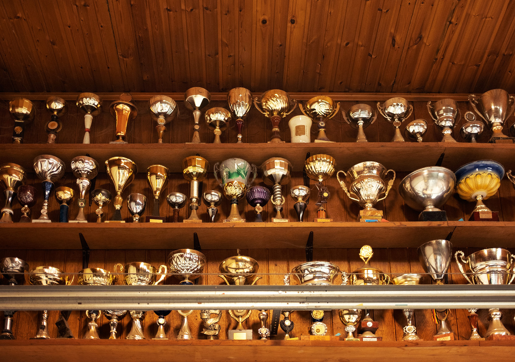 Tournesols